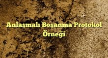 Anlaşmalı Boşanma Protokol Örneği