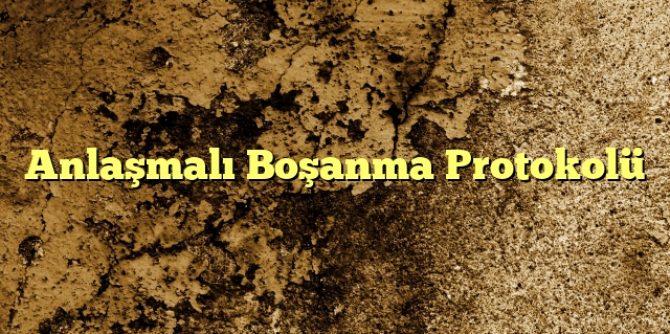 Anlaşmalı Boşanma Protokolü1