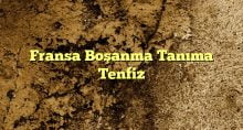 Fransa Boşanma Tanıma Tenfiz