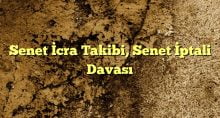 Senet İcra Takibi Senet İptali Davası