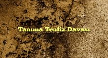 Tanıma Tenfiz Davası