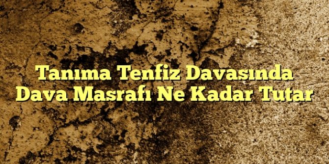 Tanıma Tenfiz Davasında Dava Masrafı Ne Kadar Tutar