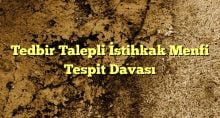 Tedbir Talepli İstihkak Menfi Tespit Davası