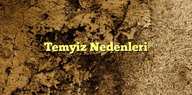 Temyiz Nedenleri1