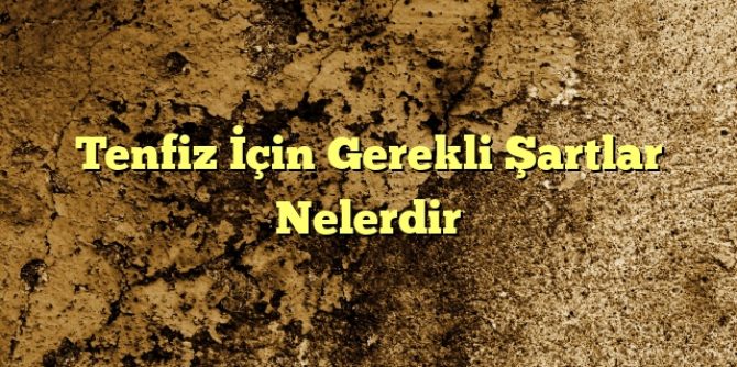 Tenfiz İçin Gerekli Şartlar Nelerdir