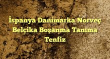 spanya Danimarka Norveç Belçika Boşanma Tanıma Tenfiz